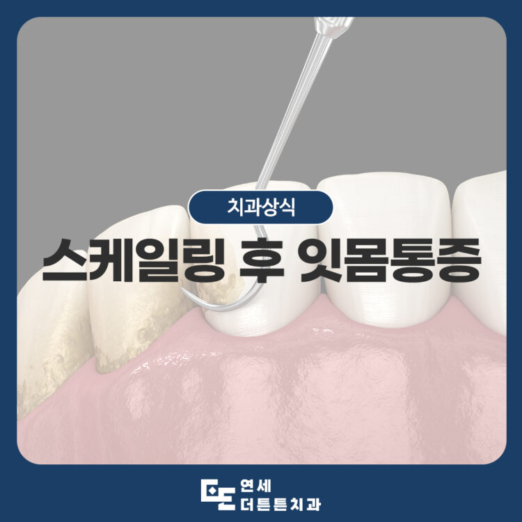 방학역치과
