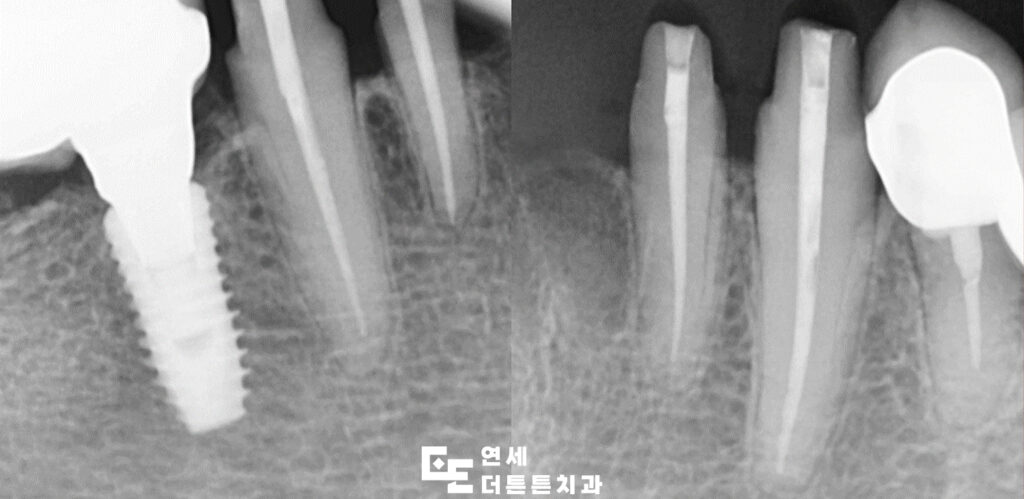 방학역치과 